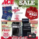 Ace Hardware Black Friday Ads Sales Doorbusters 2017 (1)